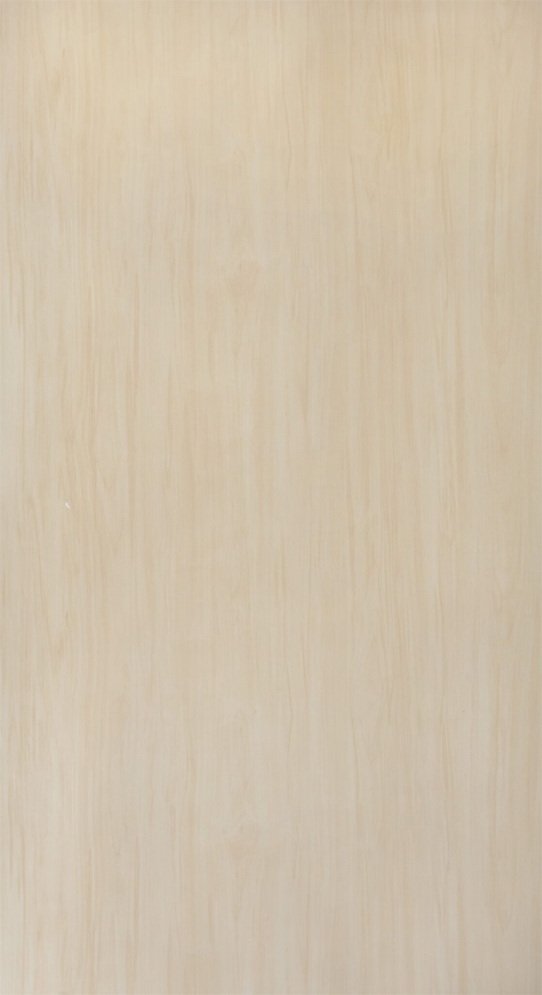 WF502NT Light Maple - Futuro HPL